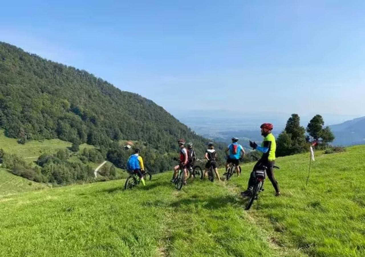 Villa Turistična kmetija Weiss Miklavz pri Taboru Exterior foto