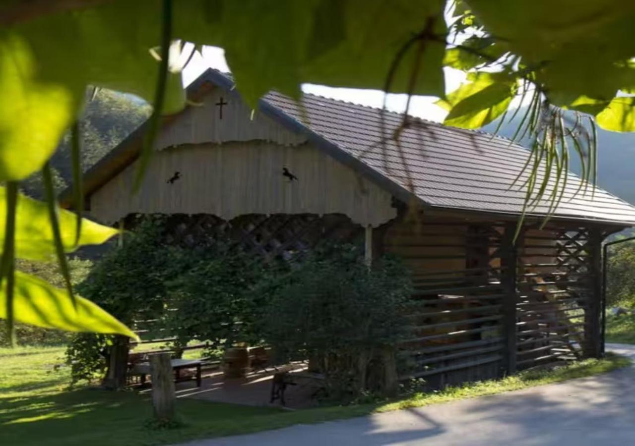 Villa Turistična kmetija Weiss Miklavz pri Taboru Exterior foto