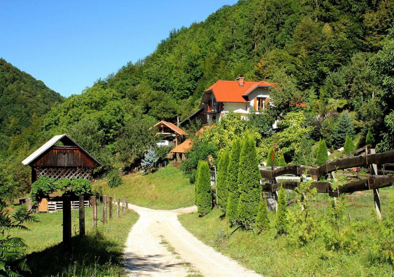 Villa Turistična kmetija Weiss Miklavz pri Taboru Exterior foto