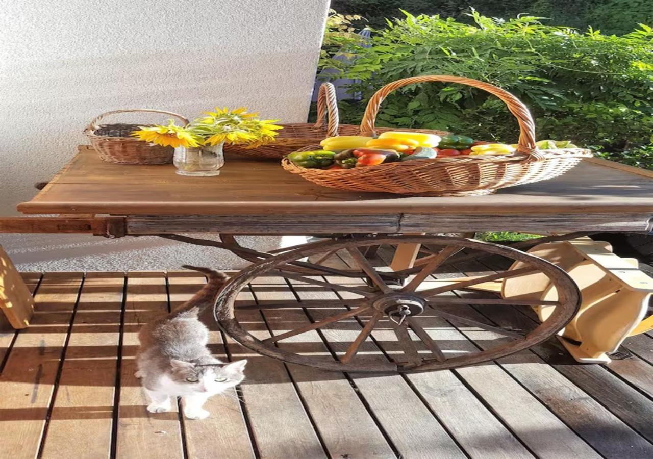 Villa Turistična kmetija Weiss Miklavz pri Taboru Exterior foto